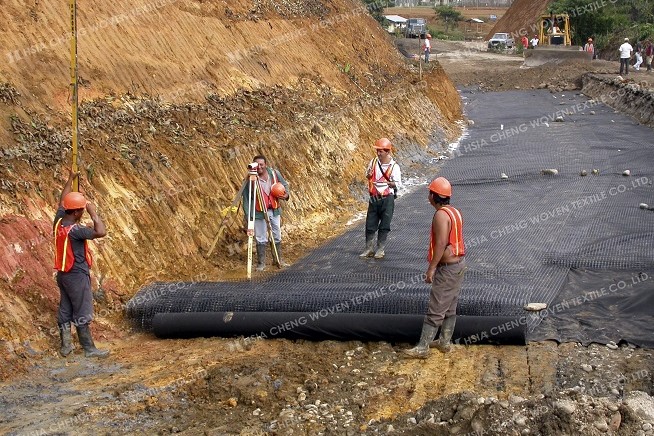 Geotextile Geogrid