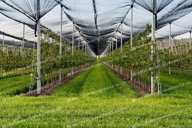 Woven shade nets