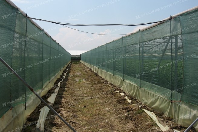 Woven shade nets