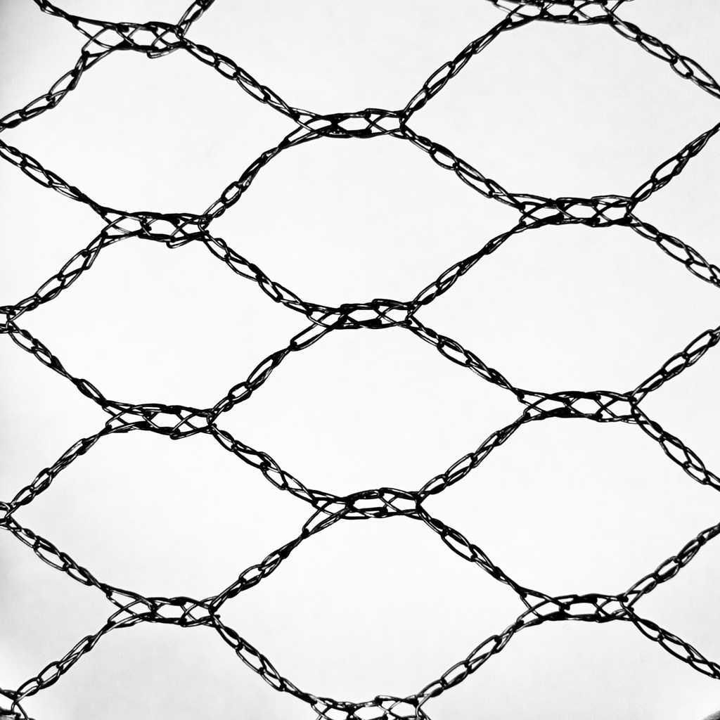 BIRD NET